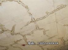 裂缝修补防水堵漏 